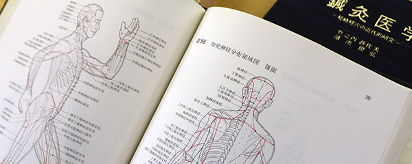 陰陽てい鍼🄬 – イトウメディカル