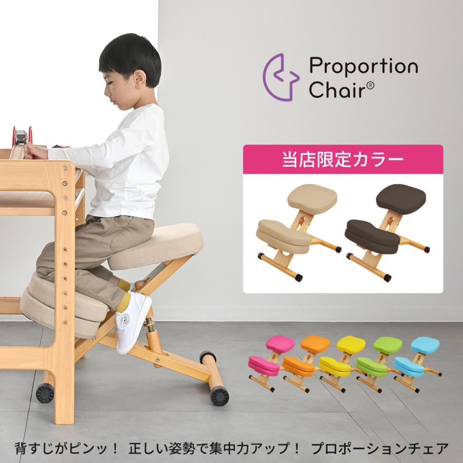 宮武製作所 補助クッション付き プロポーションチェアキッズ CH-889CK