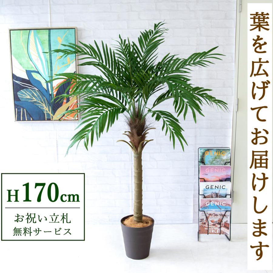 ☆立札無料☆【すぐ飾れる】 フェイクグリーン 人工観葉植物