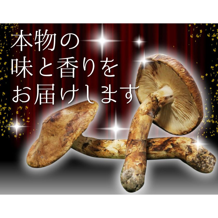 2026年10月分予約 国産 松茸 ひらき 約450g前後 4~8本程度 まつたけ