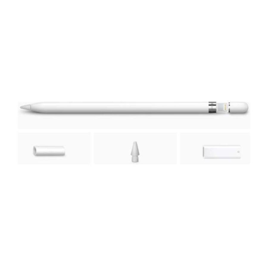 Apple アップル Apple Pencil 第1世代 USB-C アダプタつき MQLY3J/A