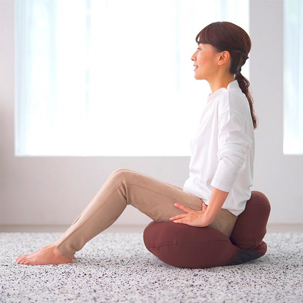 ミズノ 腹筋プルレプラス mizuno 腹筋 トレーニング 骨盤を整える 腹直