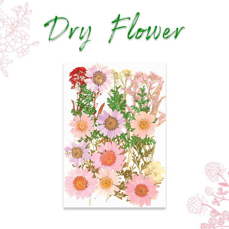 ドライフラワー 押し花 花材 ブーケ デコパーツ ハーバリウム プレスド