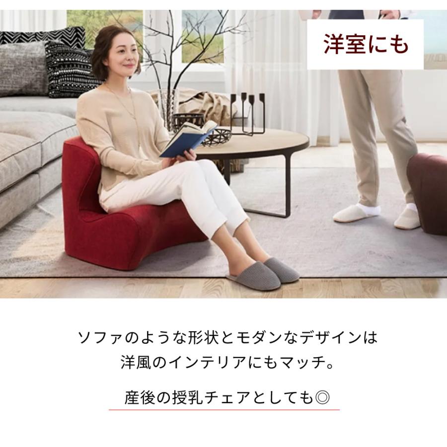 Style（スタイル） 姿勢サポートチェア MTG ドクターチェア Style Dr