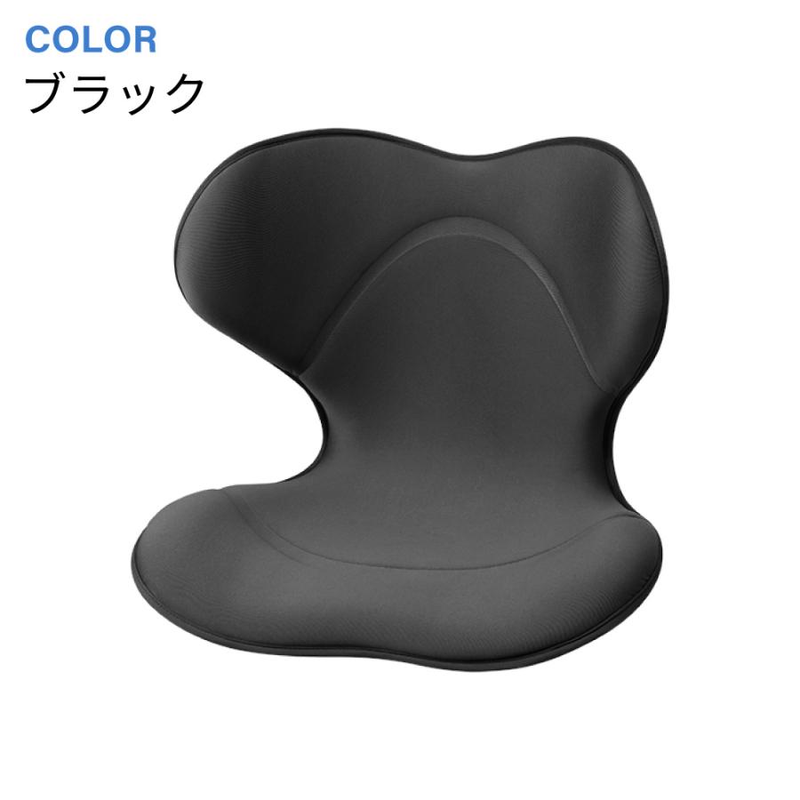 Style（スタイル） 姿勢 サポートチェア MTG スタイルスマート Style