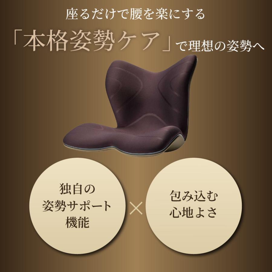 Style（スタイル） 姿勢 サポートチェア MTG スタイルプレミアム Style