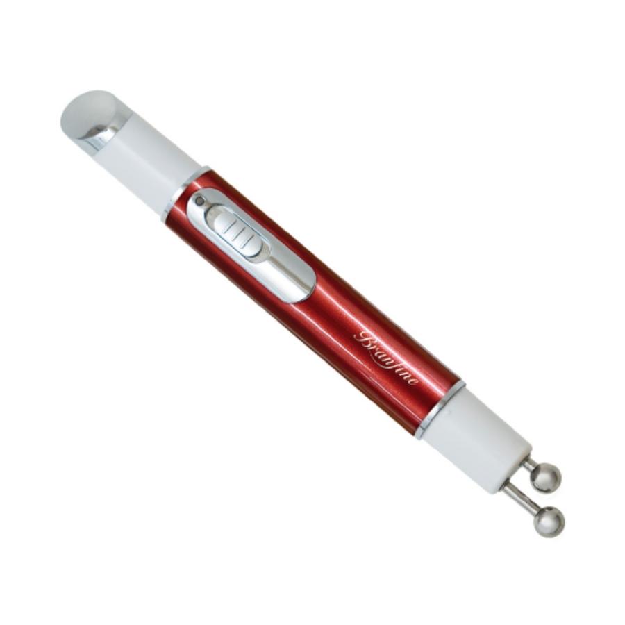 EMS美顔器 美顔器 EMS ブランフィーネ ダブルブースター ピカ子監修