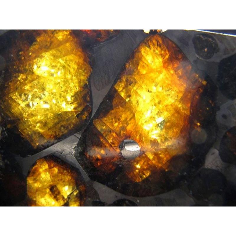 セリコ隕石 パラサイト隕石 原石 スライスプレート 最大幅約28.3mm 約