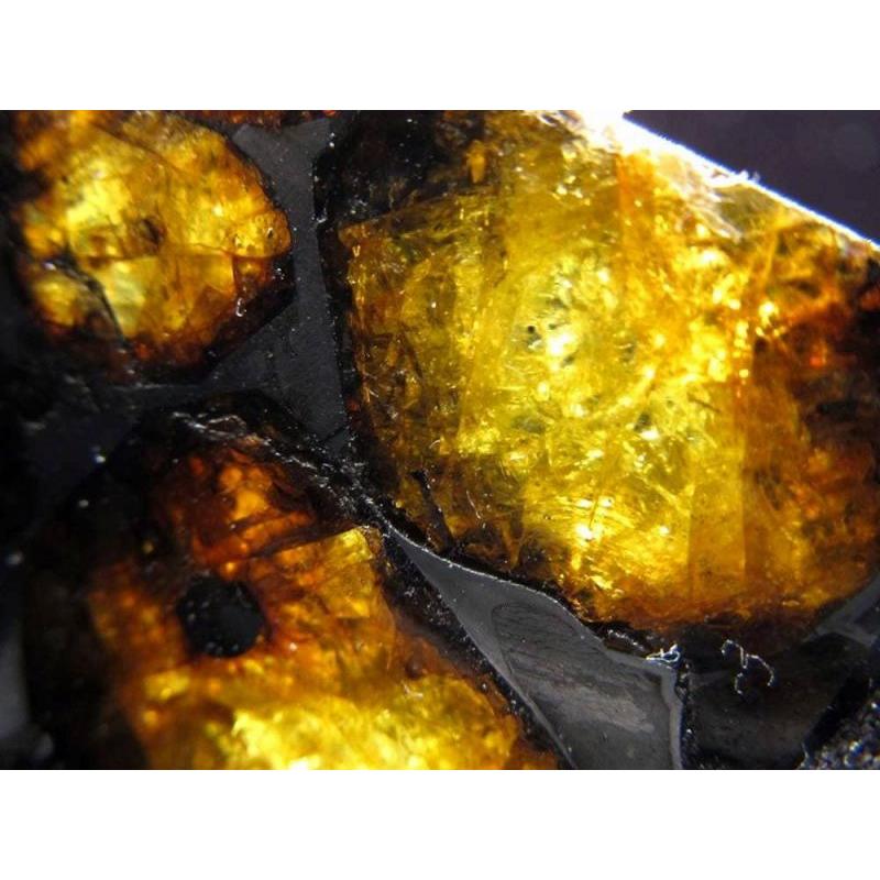 セリコ隕石 パラサイト隕石 原石 スライスプレート 最大幅約28.3mm 約