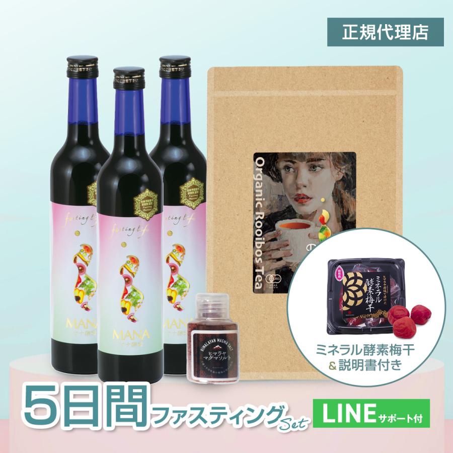 ファスティング 5日間 マナ酵素 3本 セット お歳暮 MANA 酵素ドリンク
