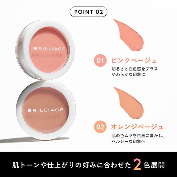 BRILLIAGE（ブリリアージュ） カモフラージュ コンシーラーチーク(本体