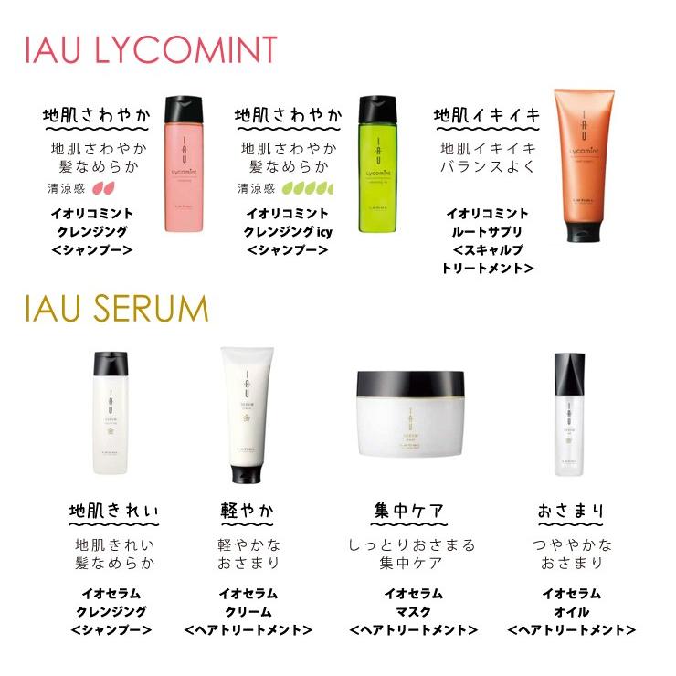 LebeL（ルベル） イオ リコミントクレンジング ICYアイシー シャンプー