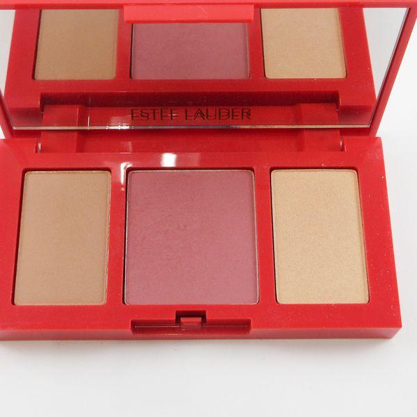 エスティローダー ピュアカラー エンヴィ チーク パレット 残量多 V976