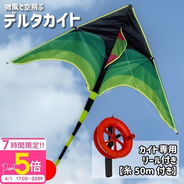 カイト 凧 専用リール付属 長尾200cm 凧揚げ 凧上げ タコ揚げ スポーツ