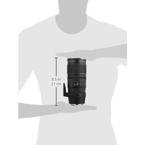 シグマ（SIGMA） 望遠ズームレンズ APO 70-200mm F2.8 EX DG OS HSM