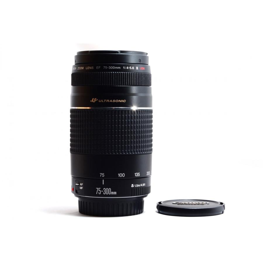 キヤノン（Canon） Canon EF 75-300mm f/4-5.6 III 美品 EFマウント