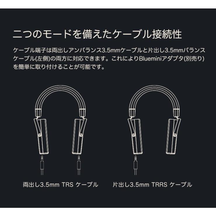 HIFIMAN（ハイファイマン） HE-R9 ヘッドホン ダイナミック密閉型