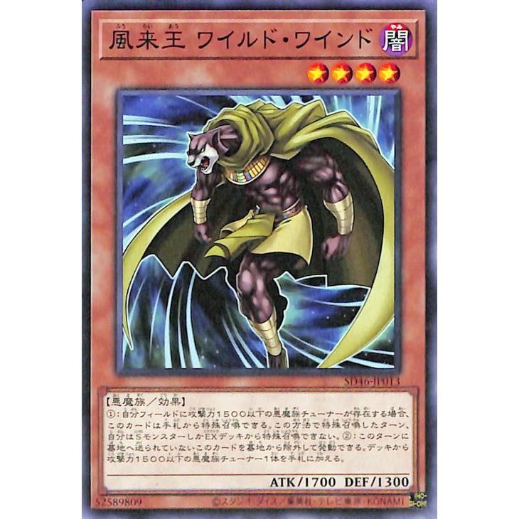 遊戯王オフィシャルカードゲーム デュエルモンスターズ 遊戯王カード