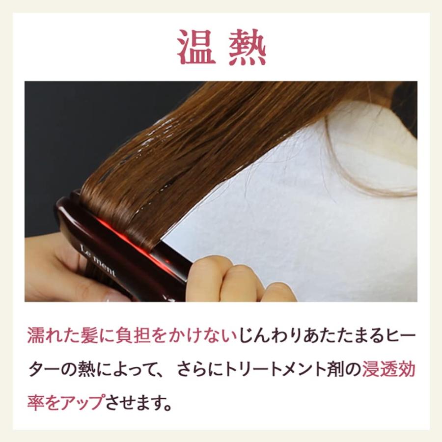 Le ment (ルメント) ディープリペアプロ 超音波トリートメント導入器