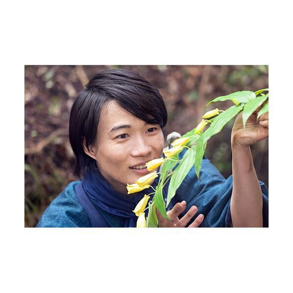 連続テレビ小説 らんまん 完全版 ブルーレイ BOX1+2+3の全巻セット