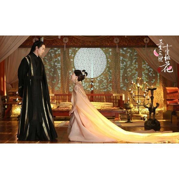 永遠の桃花〜三生三世〜DVD-BOX 1+2+3の全巻セット ＜シンプルBOX