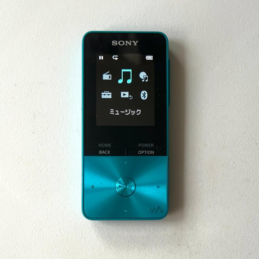 WALKMAN SONY Walkman（ソニーウォークマン）Sシリーズ、NW-S313（4GB
