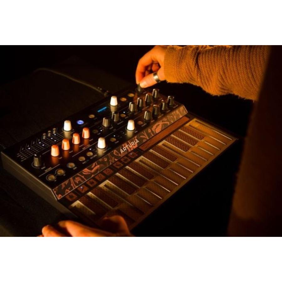 ARTURIA MICROFREAK ハイブリッドシンセサイザー : chuya-online