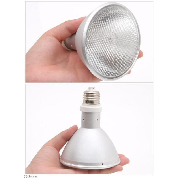 スドー 交換球 ソラーレ UV70専用 MHLD70 AL／6K 爬虫類