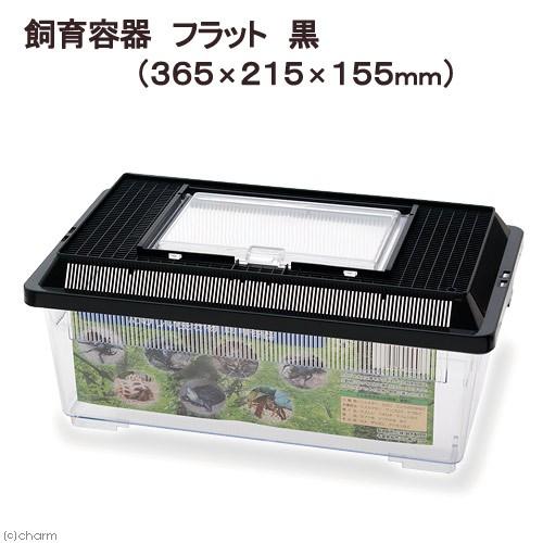 プラケース 飼育容器 フラット 黒（365×215×155mm） 虫かご