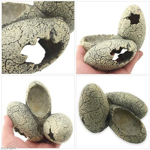 GEX（ジェックス） エキゾテラ 恐竜の卵S PT2840 : チャーム