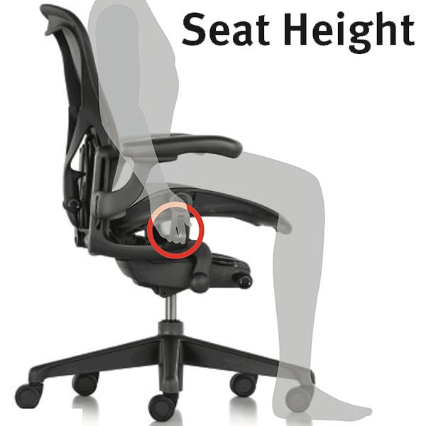 Herman Miller（ハーマンミラー） アーロンチェア リマスタード