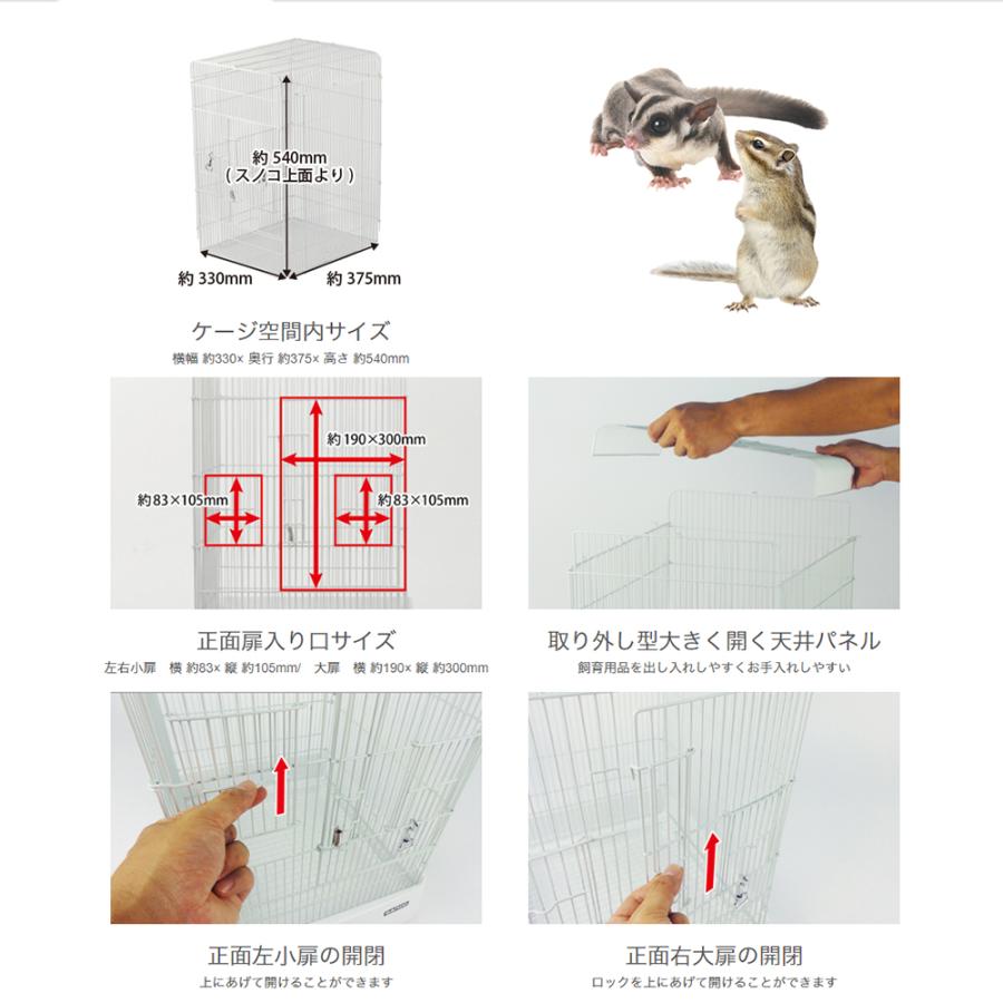 R37ハイ WH ホワイト（モモンガ飼育セット） 三晃商会 サンコー