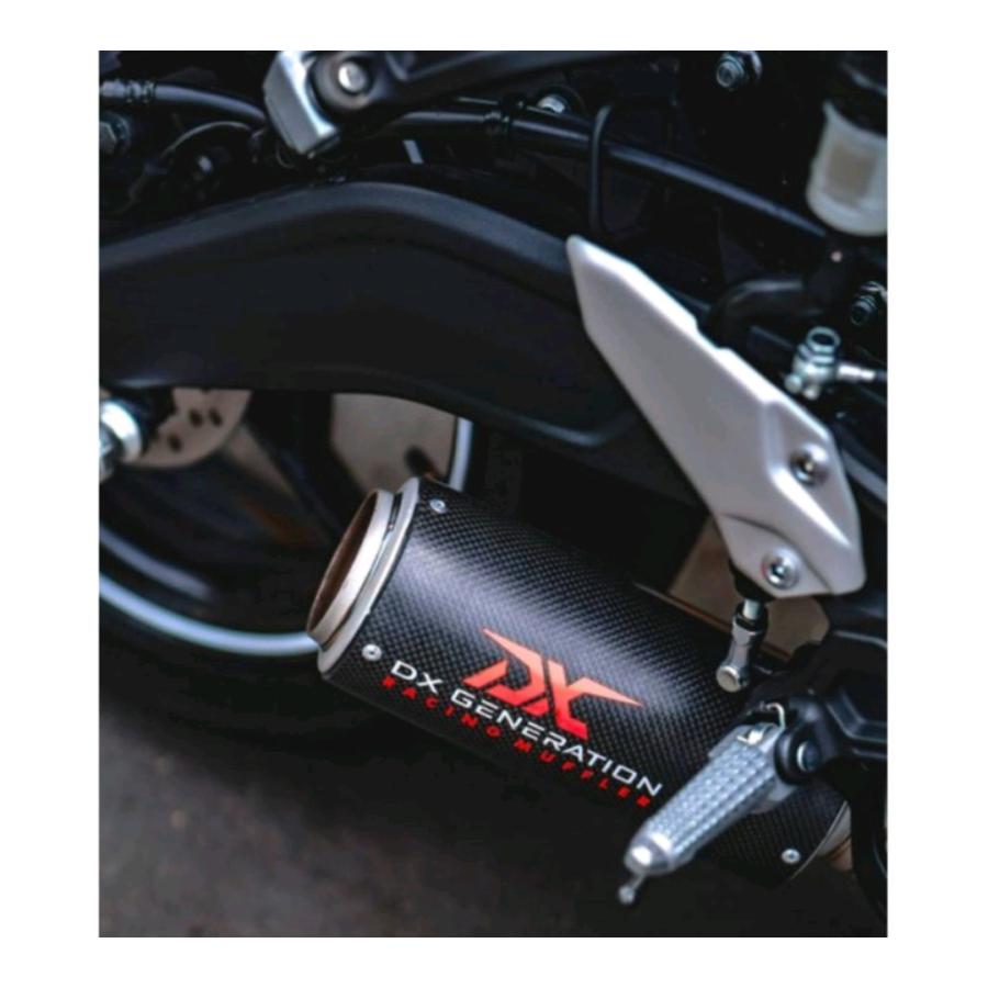 KAWASAKI ZX25R NINJA DX ショートマフラー カーボン アンダーマフラー