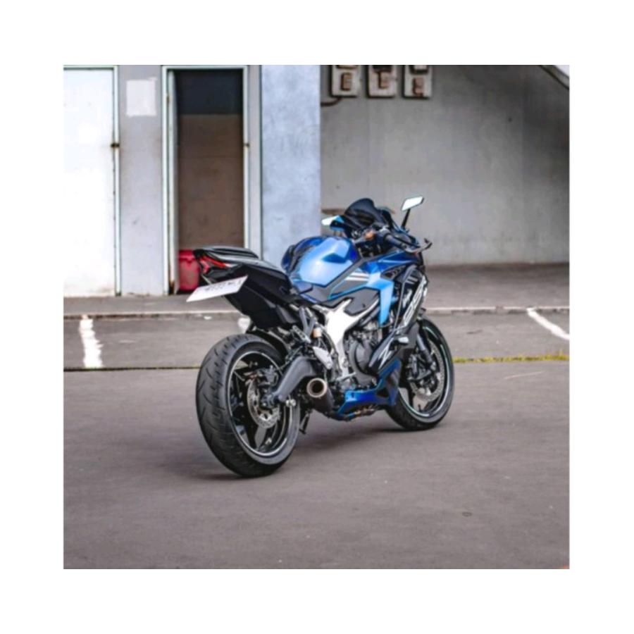 KAWASAKI ZX25R NINJA DX ショートマフラー カーボン アンダーマフラー