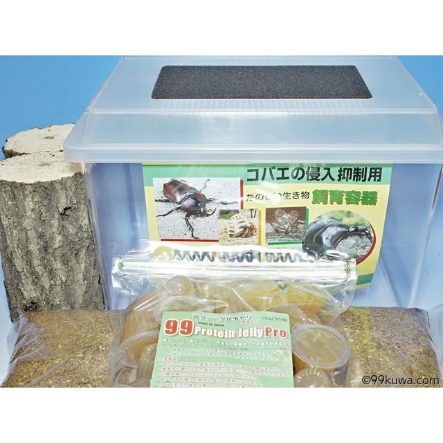 FAS（ファス） オオクワガタ産卵採卵セット : 九十九里クワガタ