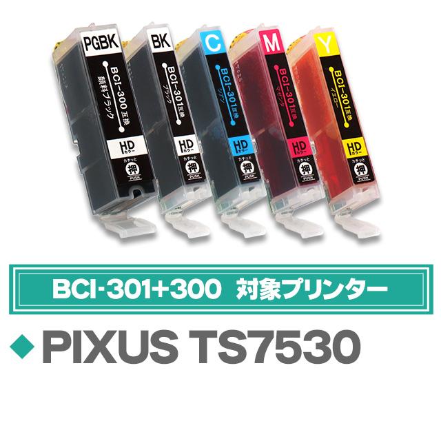 インクのチップス キャノン インク BCI-301+300/5MP 互換 5色マルチ