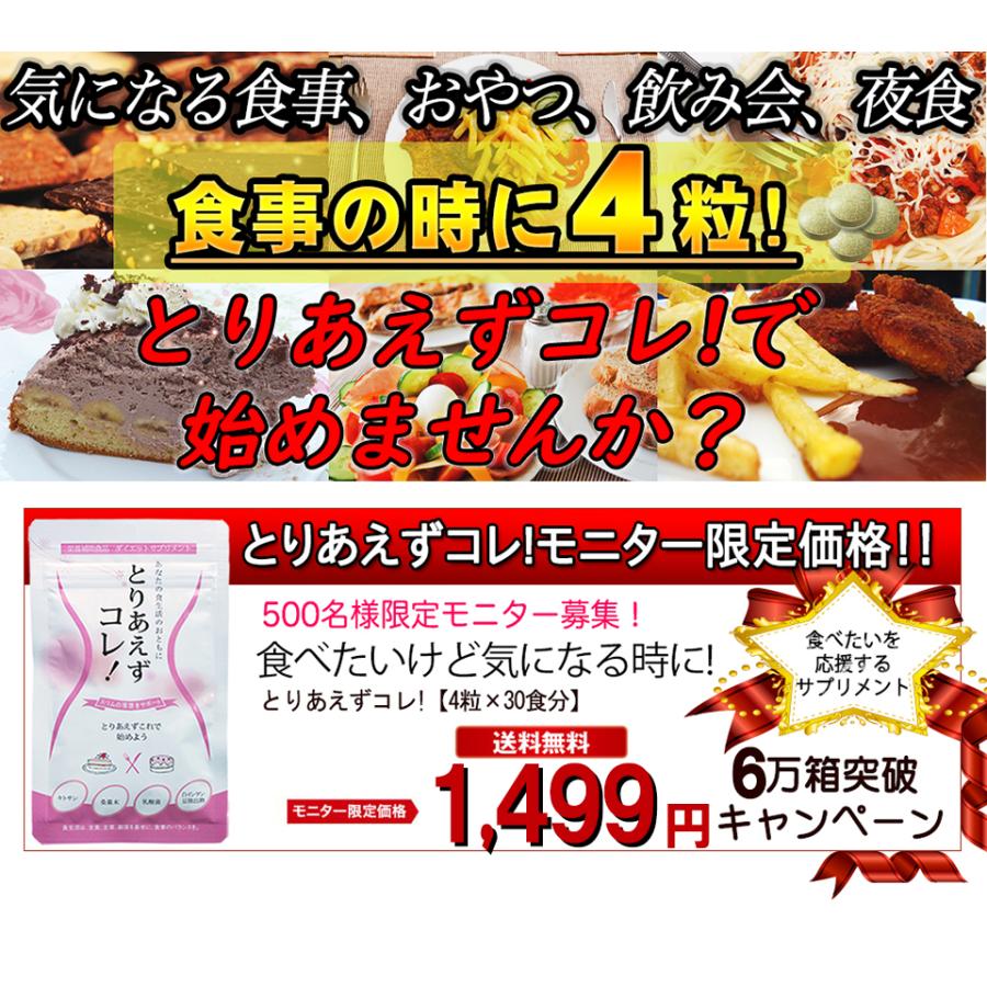 とりあえずコレ!お得3袋 カロリーカット ダイエット サプリメント