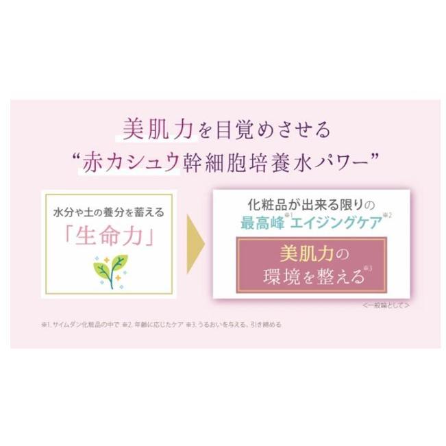 SAIMDANG（サイムダン） 【クーポン】サイムダン プレミアム CICA