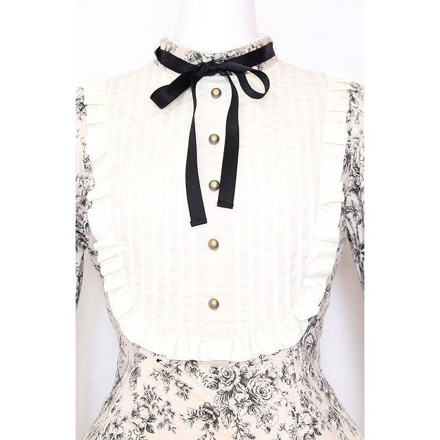 Victorian maiden / ルイーズクラシカルドールドレス トワルドロココ