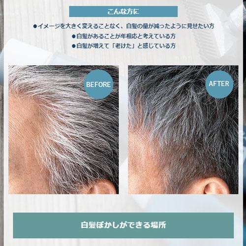 hoyu（ホーユー） カレンシアカラー ソフトグレー 80g 白髪ぼかし 白