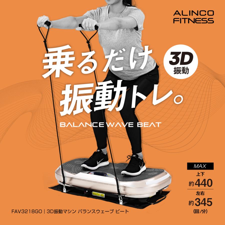 ALINCO（アルインコ） 3D振動マシンバランスウェーブ ビート FAV3218GO