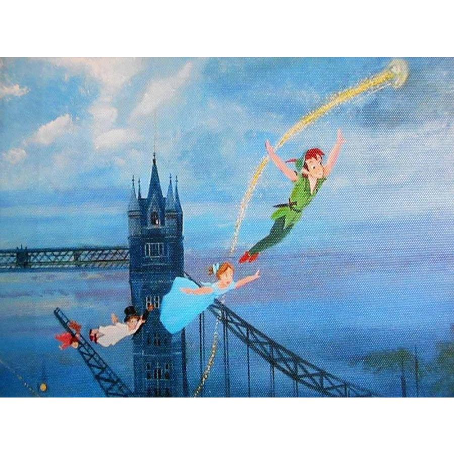 ピーターエレンショウ ピーターパン ディズニー キャンバスに油彩系の