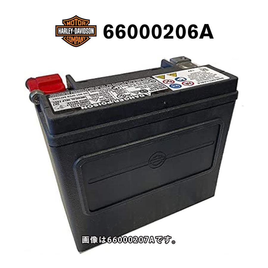 Harley Davidson（ハーレー・ダビッドソン） HD 66000206A ハーレー