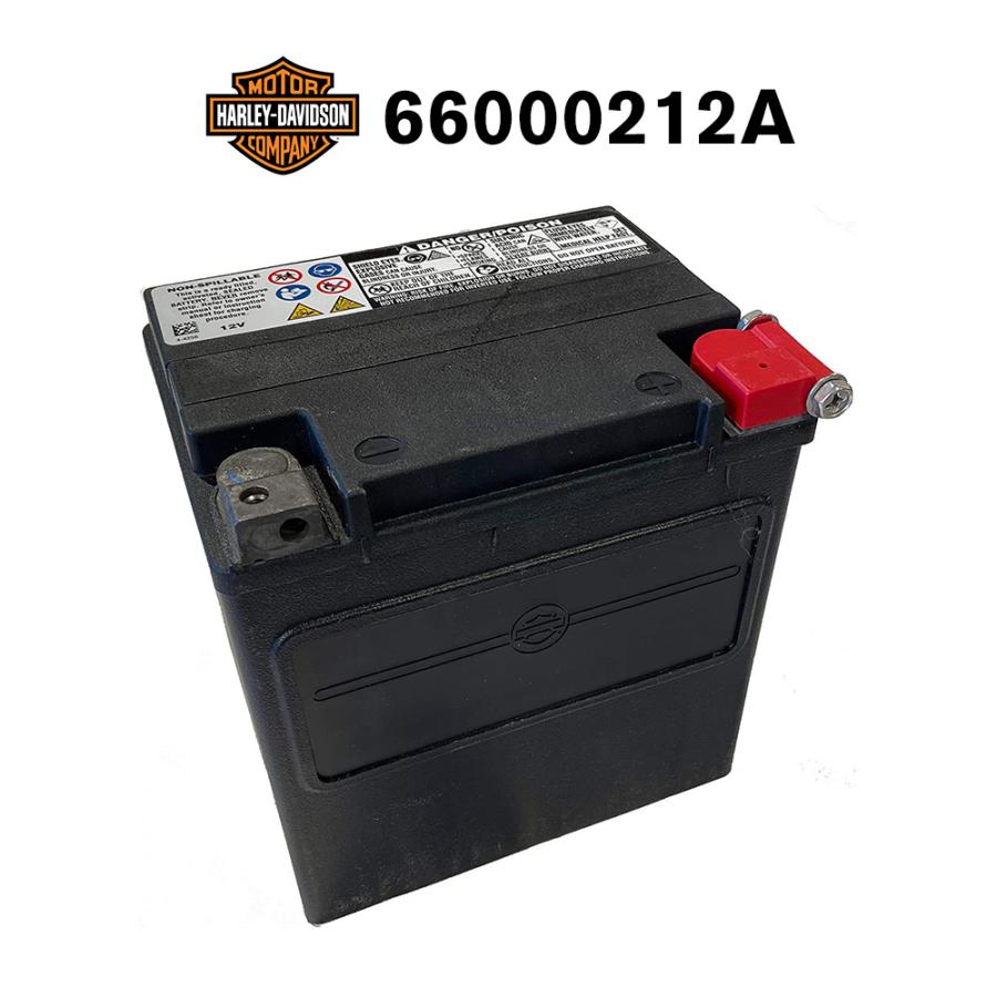 Harley Davidson（ハーレー・ダビッドソン） HD 66000212A ハーレー