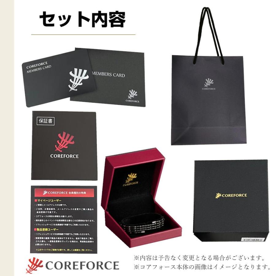 COREFORCE（コアフォース） 即納 ループ ブラック 70cm 1年保証 正規