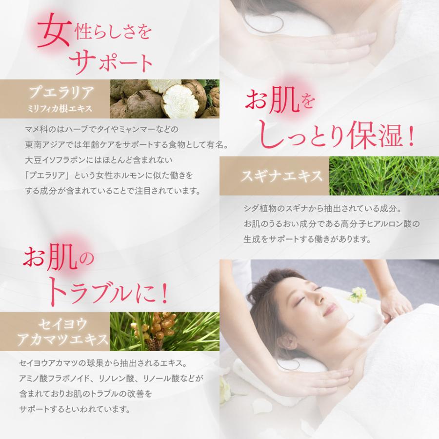 ANX バストケア マッサージ ジェル Bセレブ プエラリア ボルフィリン