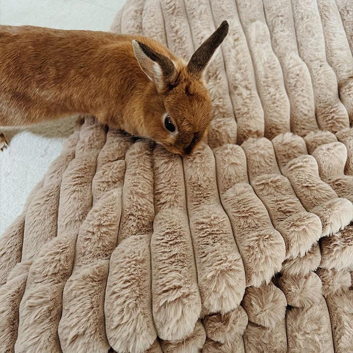 ラビットファー 毛布 シングル 暖かい ブランケット 大判 ひざ掛け bon