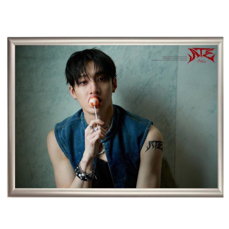 バンチャン StrayKids ストレイキッズ スキズ フォトプレート 額入り