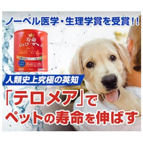 ペット用 サプリメント ペッタム 寿命のびーる ペット テロメア 70g 犬