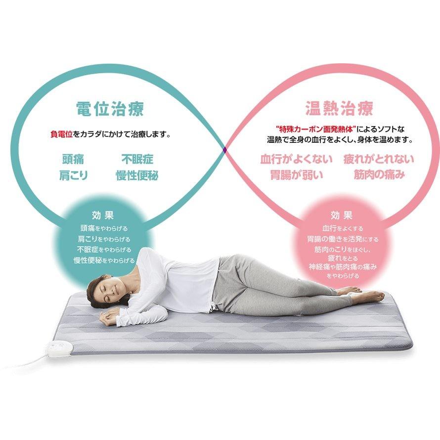 西川（nishikawa） ローズテクニー 健康敷ふとん LS2 シングルサイズ